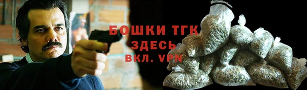 сатива Козельск