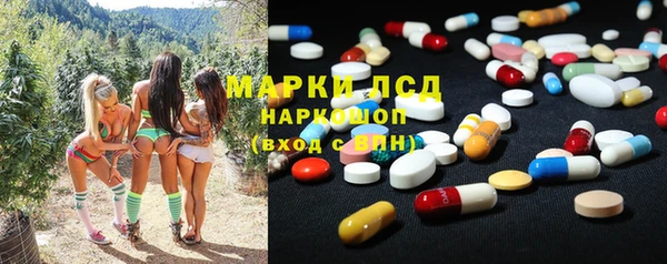 прущие грибы Михайлов