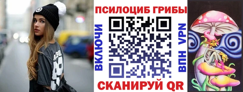 купить закладку  Темников  Галлюциногенные грибы Psilocybe 
